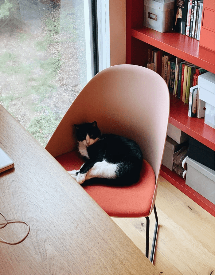 Lievore Altherr Desile Park Cila Go Cila Chair Arper Product Design Art Direction 59